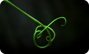 Diseño de producto y UX/UI